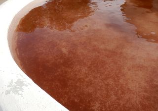 Water in a basin in Fuente Encalada (Zamora) was stained red by the algae Haematococcus pluvialis, brought by the rain.