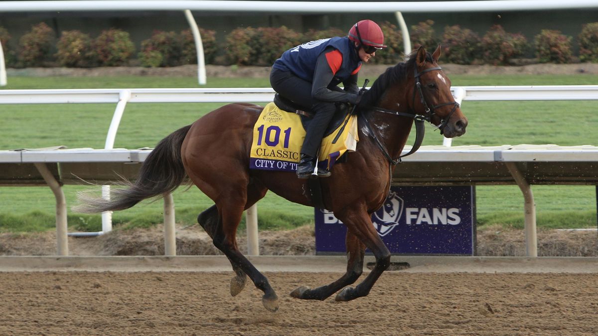 How to watch Breeders Cup 2024 free live streams for Future Stars Friday and Classic Aidan O Brien aims for more glory