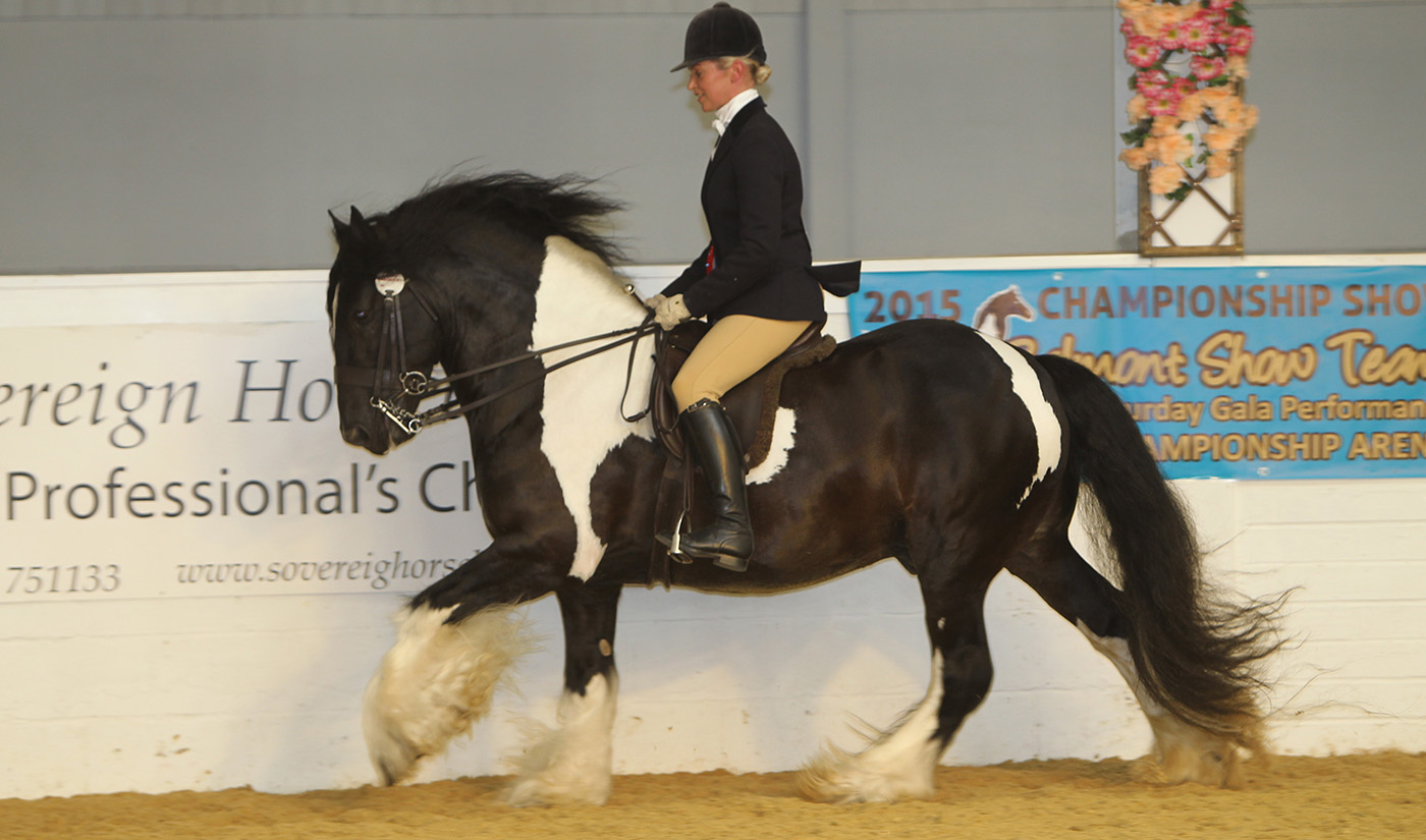 CHAPS Championships 09 08 2015