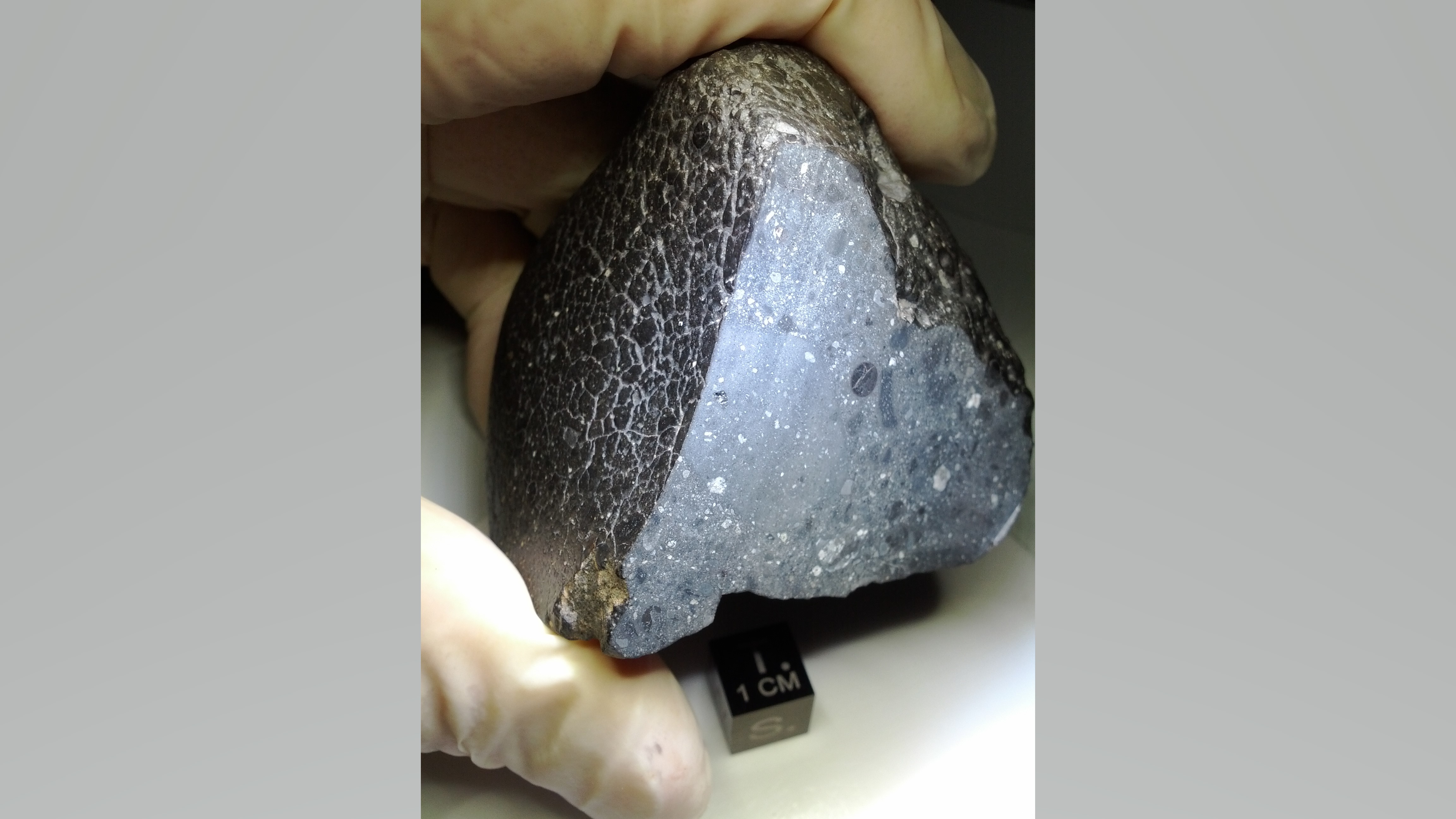 slice of meteorite