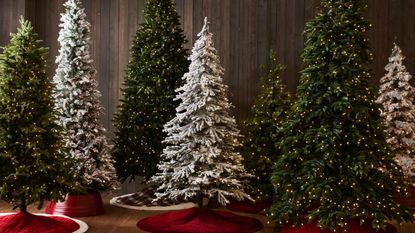 No more wondering when to take down a Christmas tree like these multiple faux white or green spruces