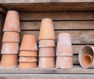 terracotta pots in wooden box