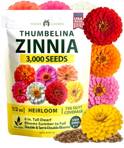 Home Grown Zinnia Seeds for Planting Thumbelina 3,000 Seeds (14g - 1/2oz) &amp;ndash; Dwarf Zinnia Flower Seeds, Mixed Colors, Easy Flowers to Plant Outside, Usda Zones 3&amp;ndash;10 (zinnia Elegans)