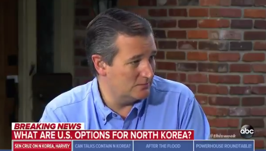 Sen. Ted Cruz on ABC News