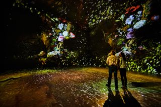 EM Acoustics powers the sound as guests look at the outdoors projected in an immersive experience in the UK.