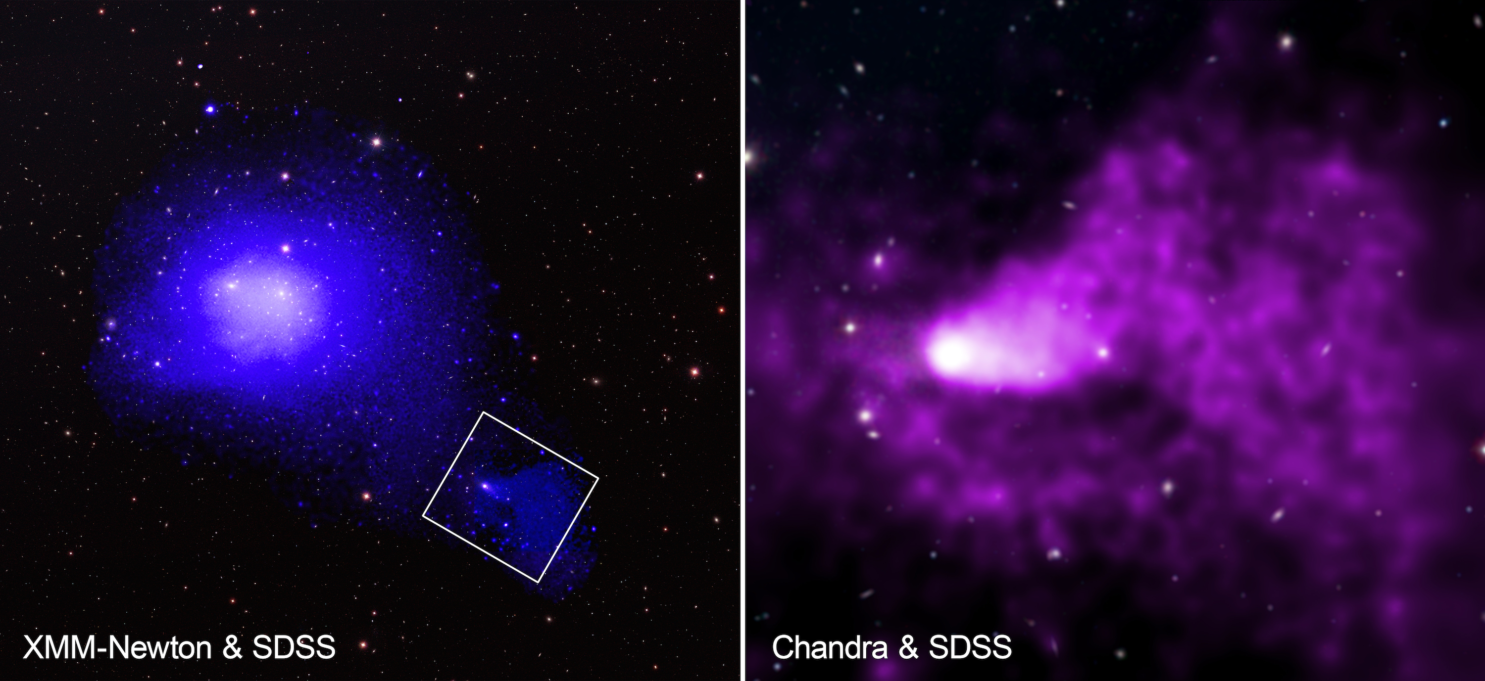 Gambar galaksi berdampingan dalam cahaya biru dan cahaya ungu