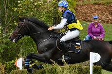 WEG event horse put down