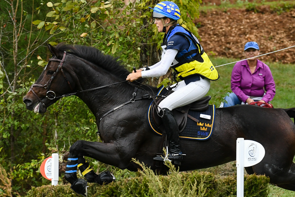 WEG event horse put down
