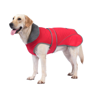 Dogcheer dog coat in red, one of the best dog coats, on a labrador