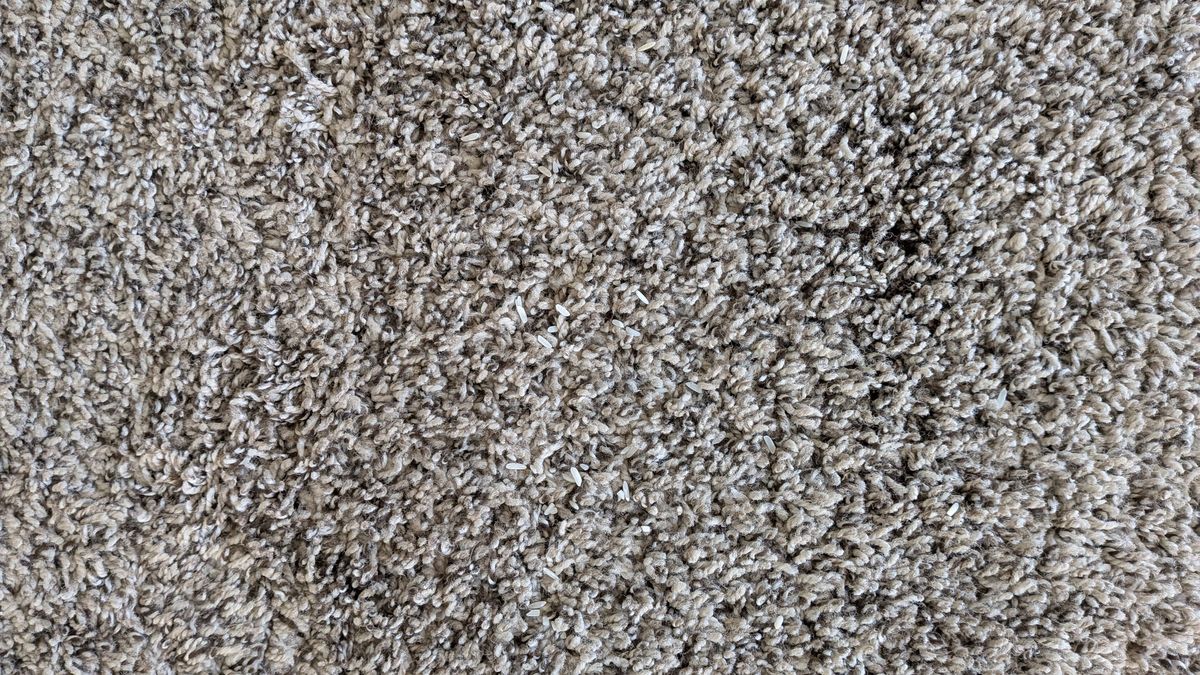 Carpet after one pass with Shark PowerDetect Speed vacuum cleaner on low power