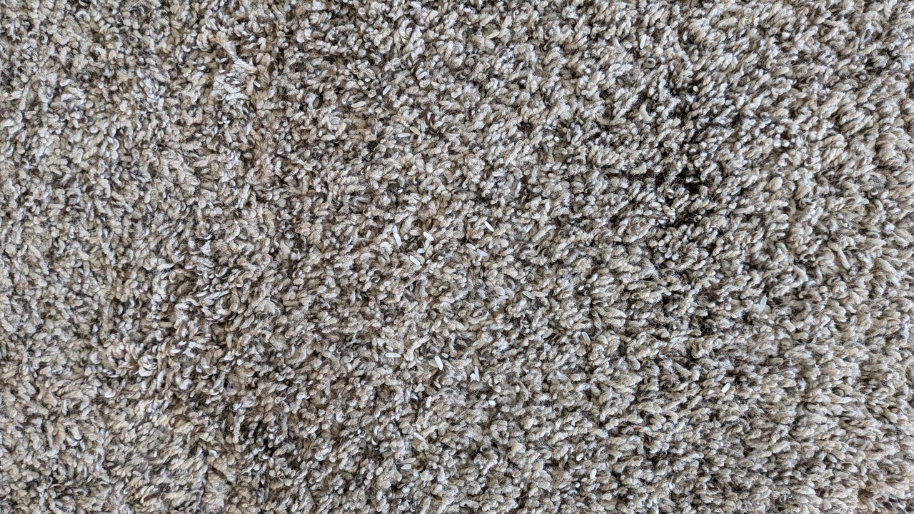 Carpet after one pass with Shark PowerDetect Speed vacuum cleaner on low power
