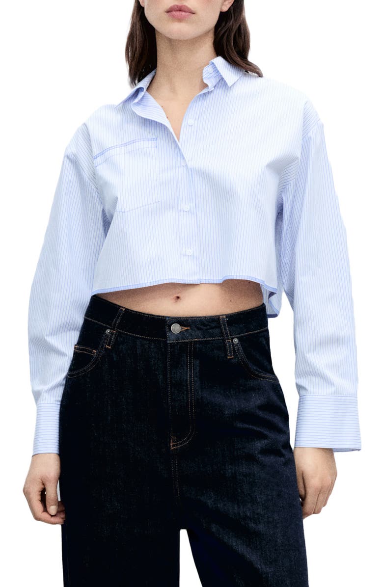 Stripe Long Sleeve Crop Poplin Button-Up Shirt