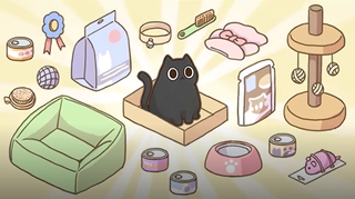 A black cat surrounded by pet items.