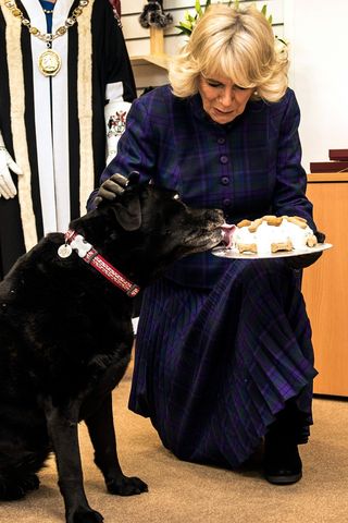 Queen Camilla with a dog