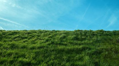 best grass clippers