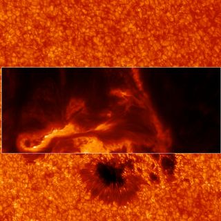 March 29 Sunspot Detail