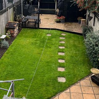 Green grass lawn after scarifying process in garden