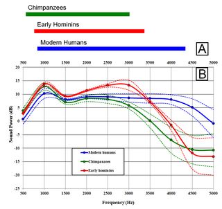 A graph showing hearing sensitivity for modern humans, hominins and chimpanzees between 0.5 and 5 kilohertz (kHz). Higher points on the curve indicate greater auditory sensitivity.