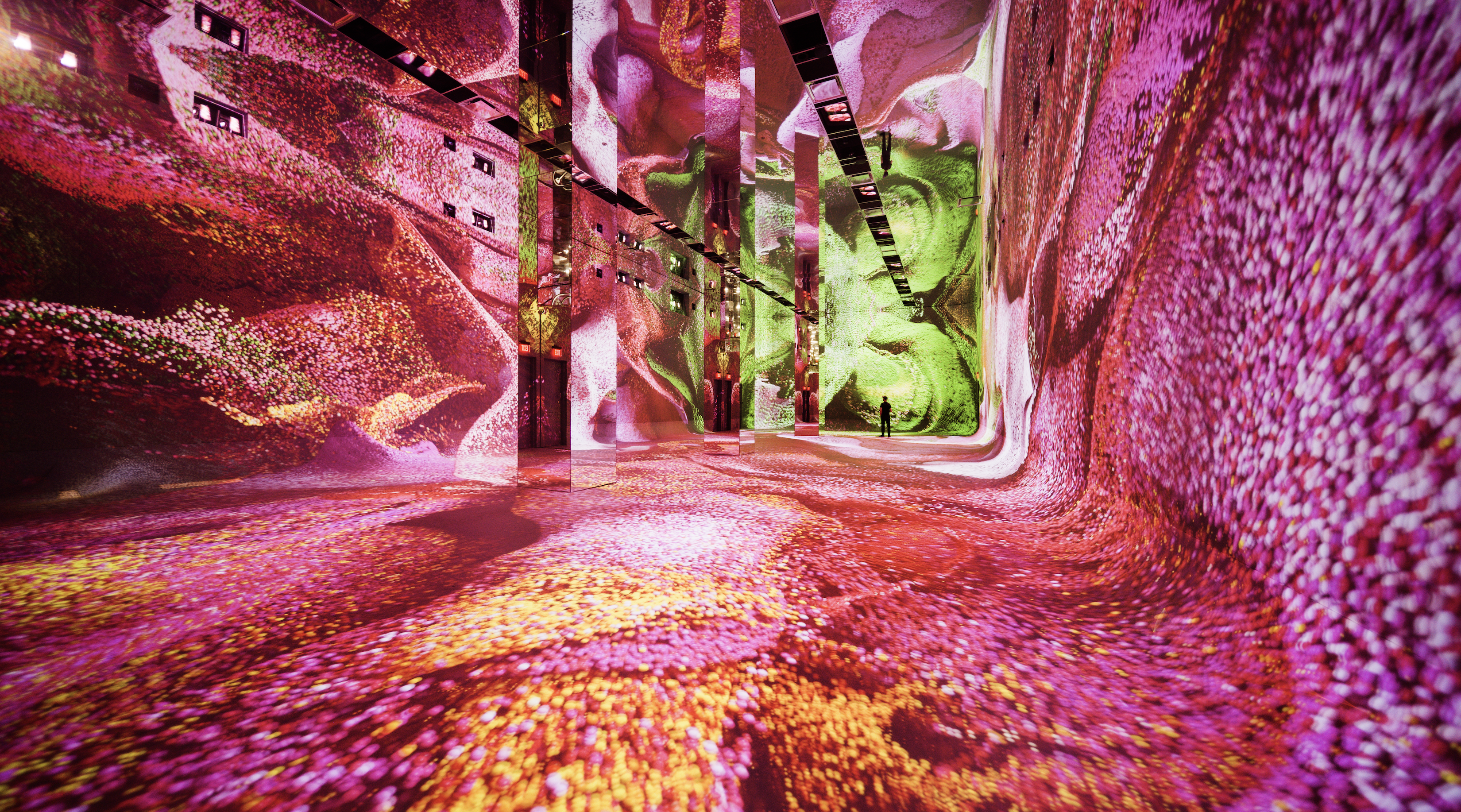 virtual reality images from the dataland museum