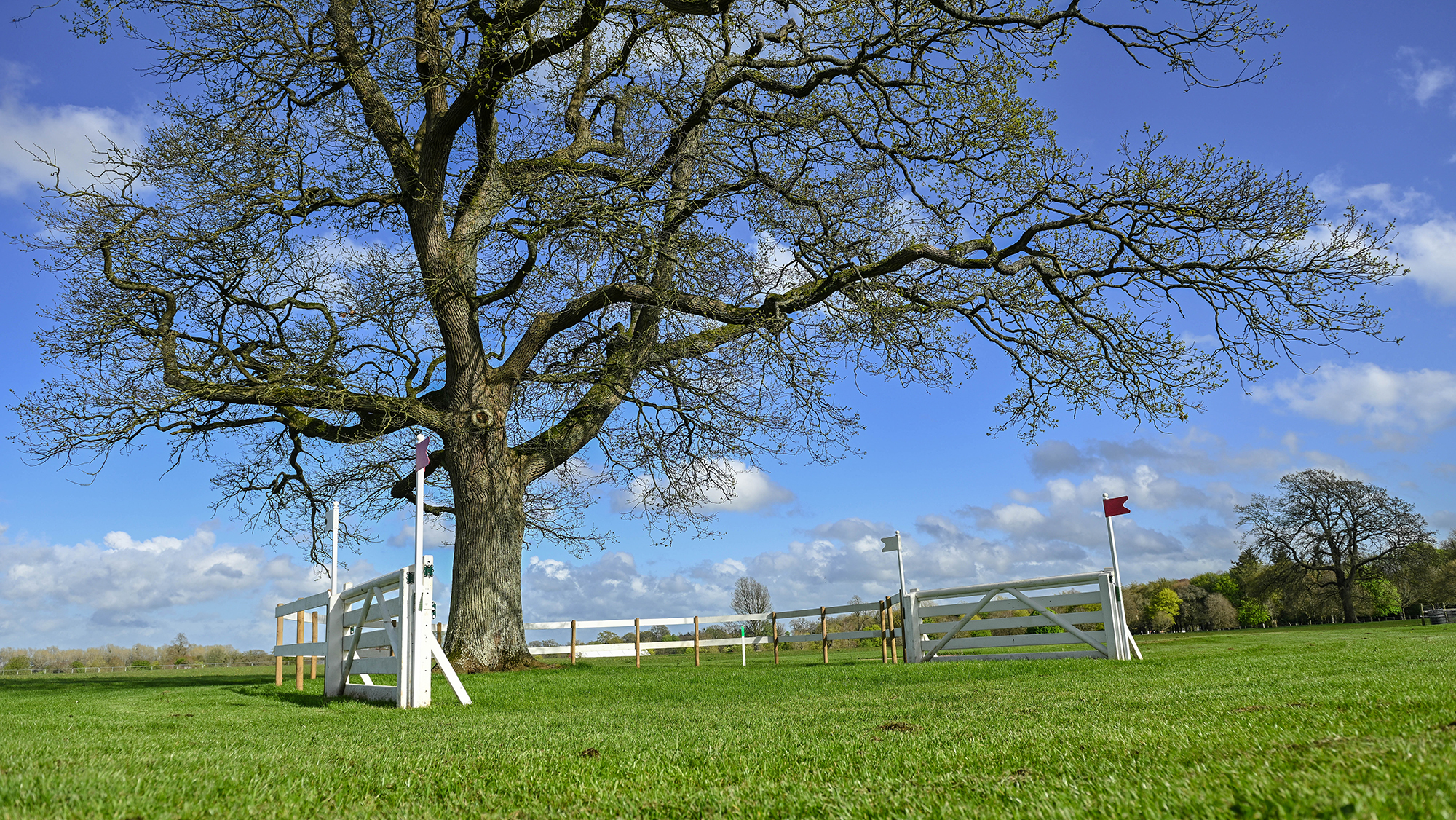 Badminton Horse Trials cross-country course 2026 fence five