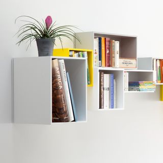 A houseplant on top of shelves filled with books