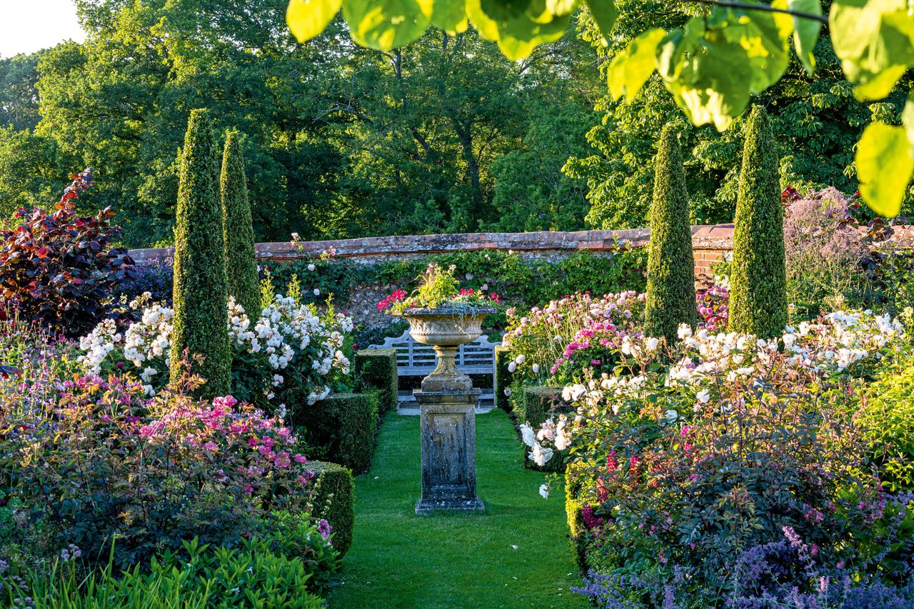 Victoria Wormsley&#039;s garden, The Old Rectory, East Woodhay. Seated on the bench, one is surrounded by the scent of roses with Rosa ‘Cecile Brunner’ planted as a climber, with Rosa ‘Generous Gardener’ on the wall behind. Photo by Mark Bolton.