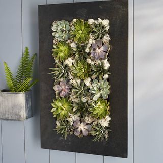 This wall plant will lift the feel of any room