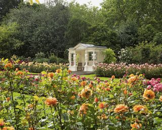 rose gardens at Buckingham Palace gardens