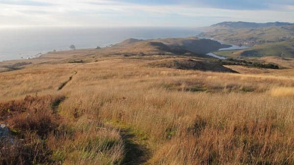 Sonoma County singletrack