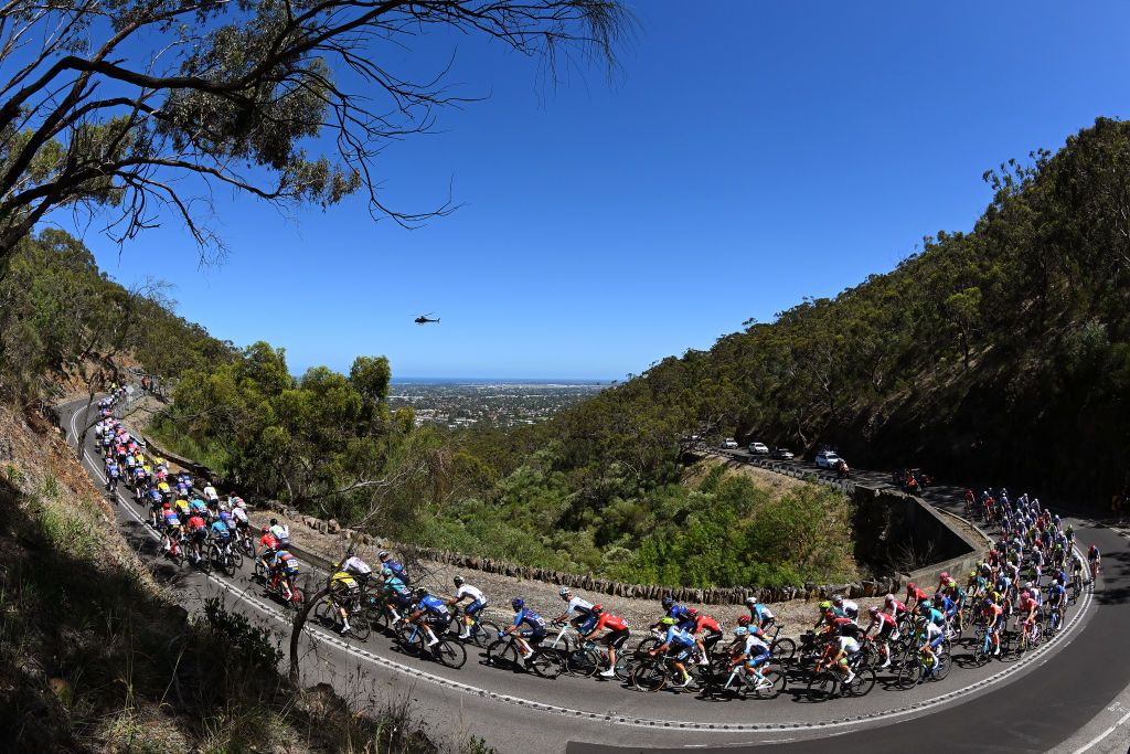 Peloton climbing to Windy Point