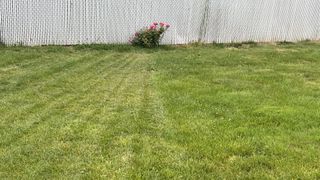 ECOVACS GOAT trimmed lawn