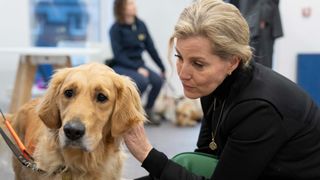 Sophie, Countess of Wessex meeting guide dogs