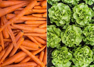 Carrots (L) & Lettuce (R)