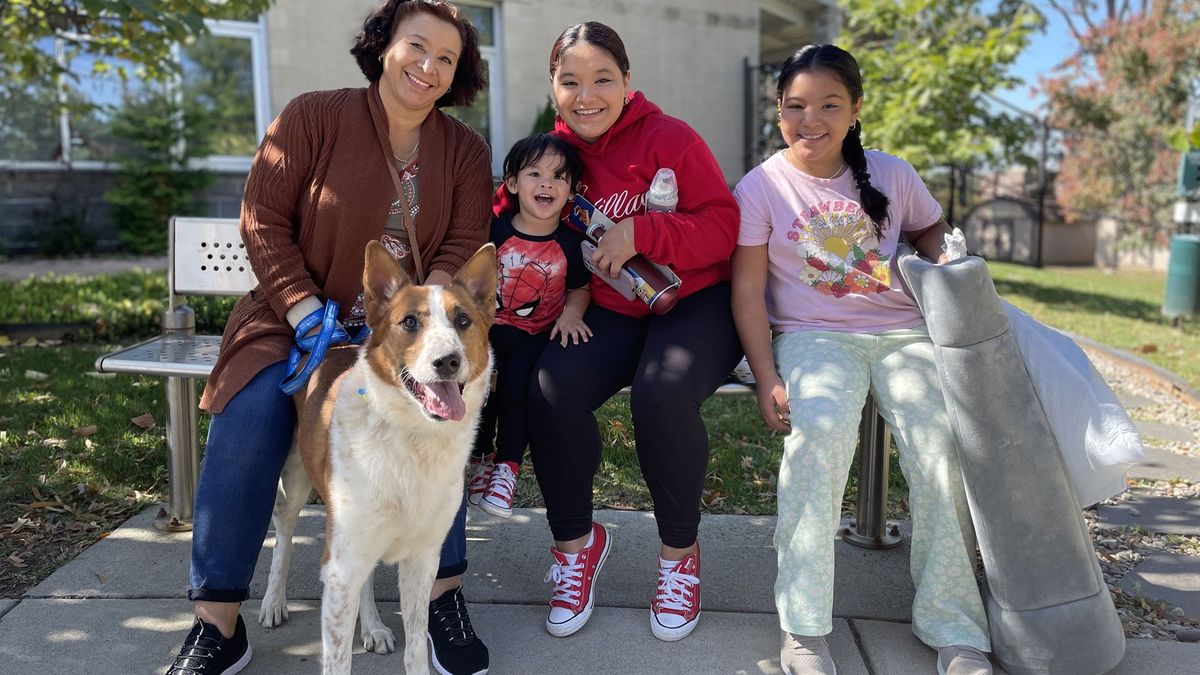 Dante the Corgi/German Shepherd mix dog, and his family