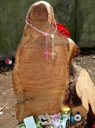 A tree stump outside Rathkaele, Ireland that looks like the Virgin Mary