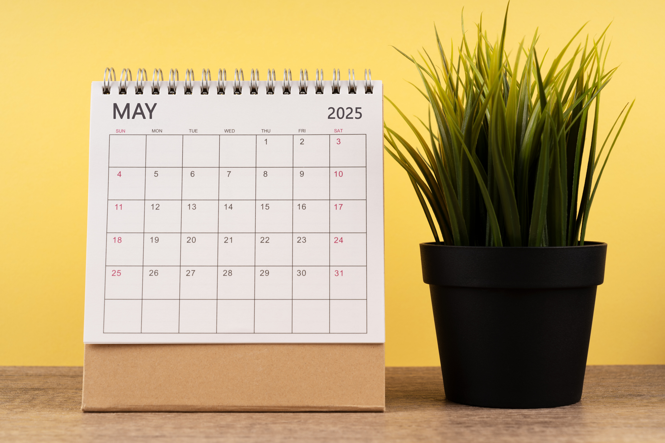 May 2025 Desk Calendar on Yellow Background - stock photo