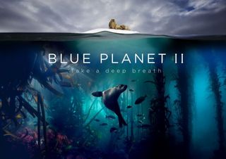 Blue Planet 2 (BBC/Lisa Labinjoh/Joe Platko)