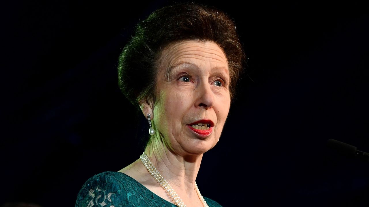 Princess Anne&#039;s &#039;understated&#039; brooch in Estonia shows &#039;affection&#039; as fans hail royal and husband Tim as &#039;GOAT&#039; couple