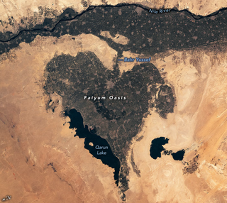 The oasis sits just below the Nile River (labeled in this NASA image).