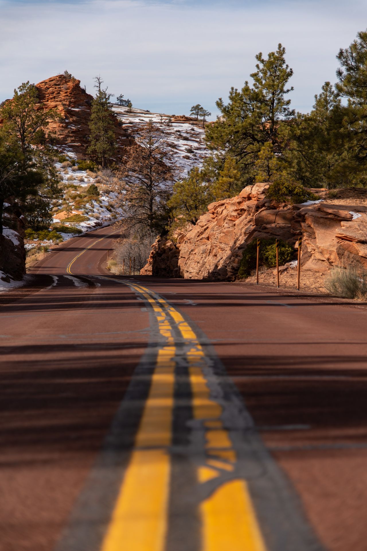Nikon D780 review
