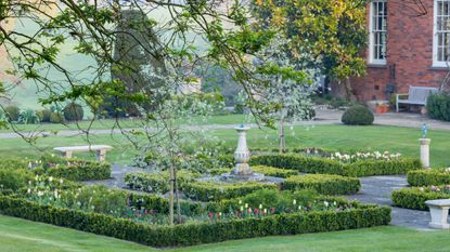 boxwood parterre planted with tulips in spring garden of Benington Lordship in Hertfordshire