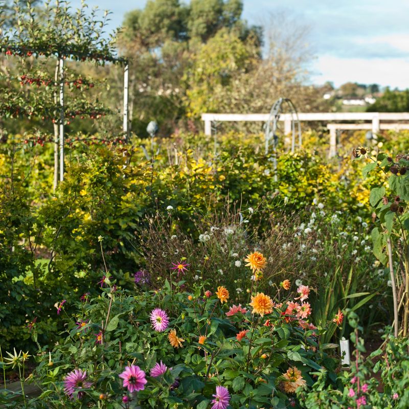 What does home insurance cover? Expert explains different types of cover Ideal Home