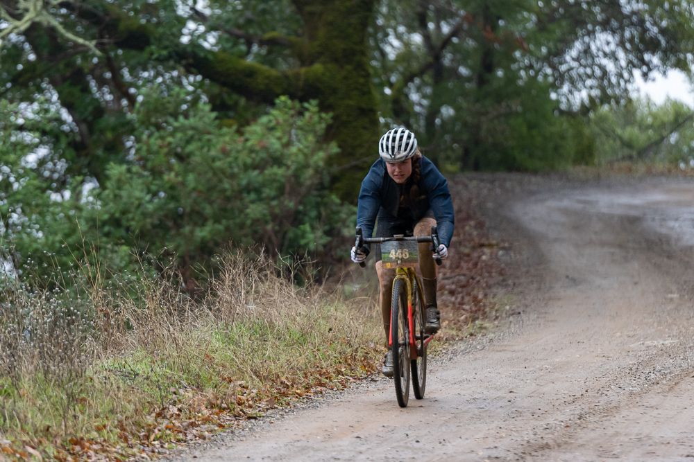 Low Gap Grasshopper gravel