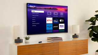 Roku Pro Series TV wall mounted above a wooden media unit with lamps, plants and books on