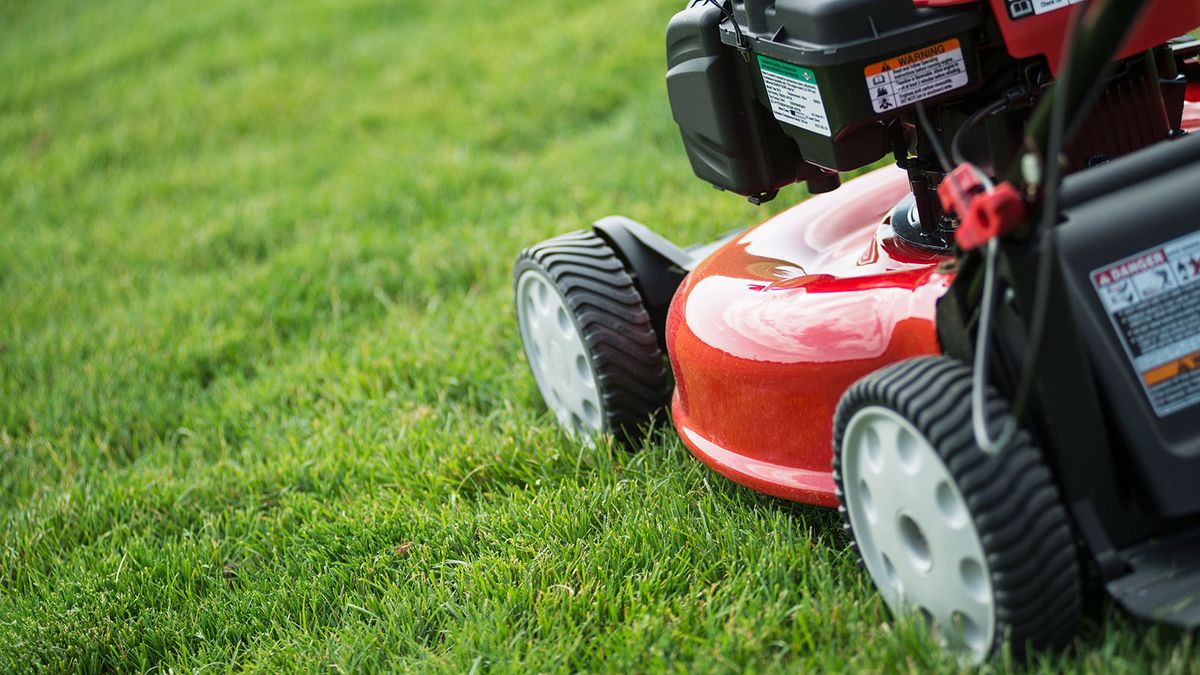 Cutting wet grass with electric mower new arrivals