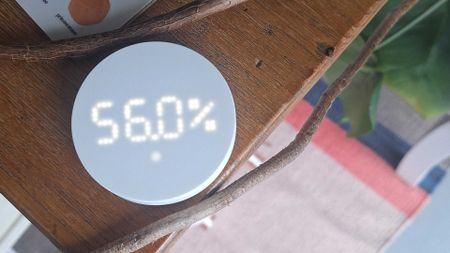 IKEA Timmerflotte temperature and humidity sensor on a wooden table with plants surrounding it