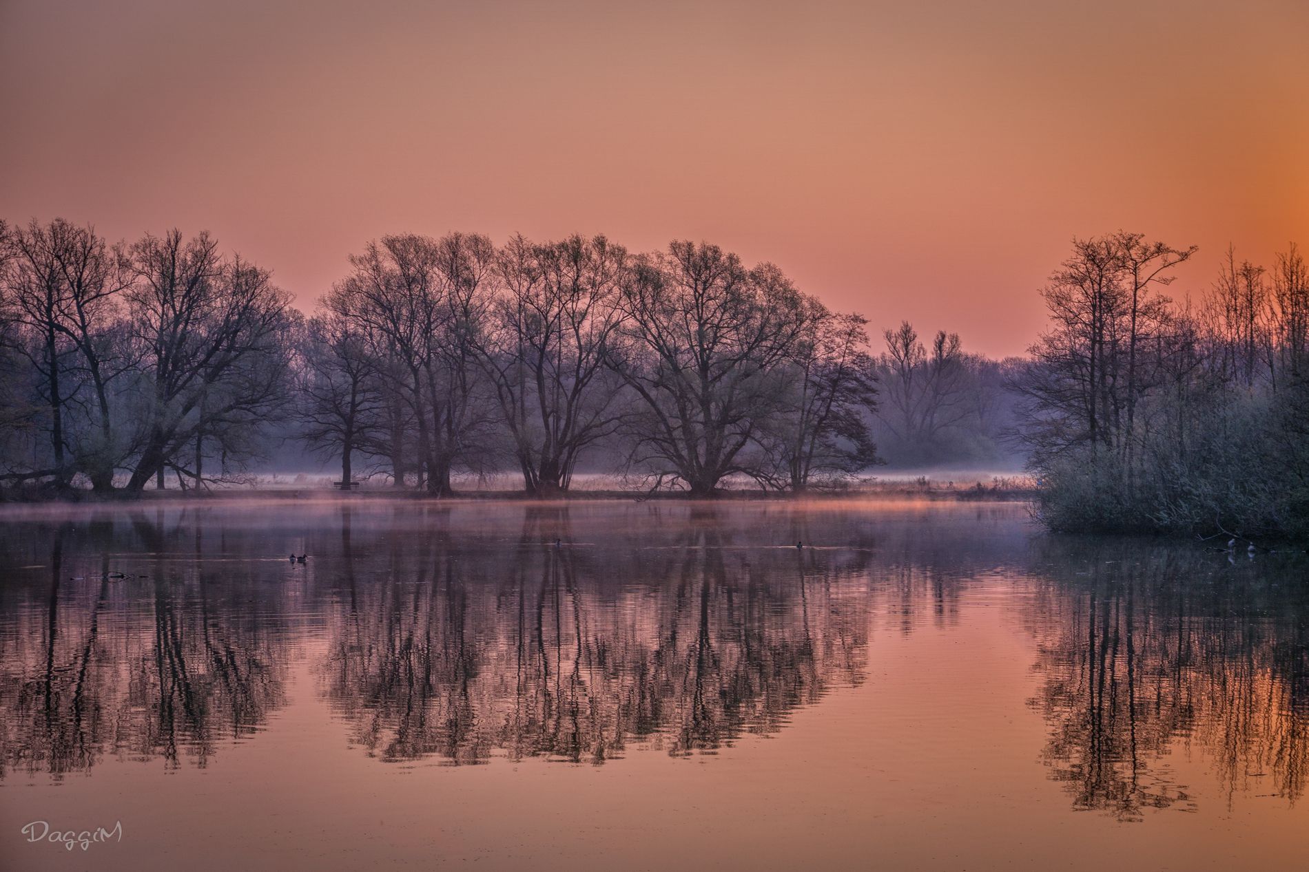 GuruShots - Nature March 2026