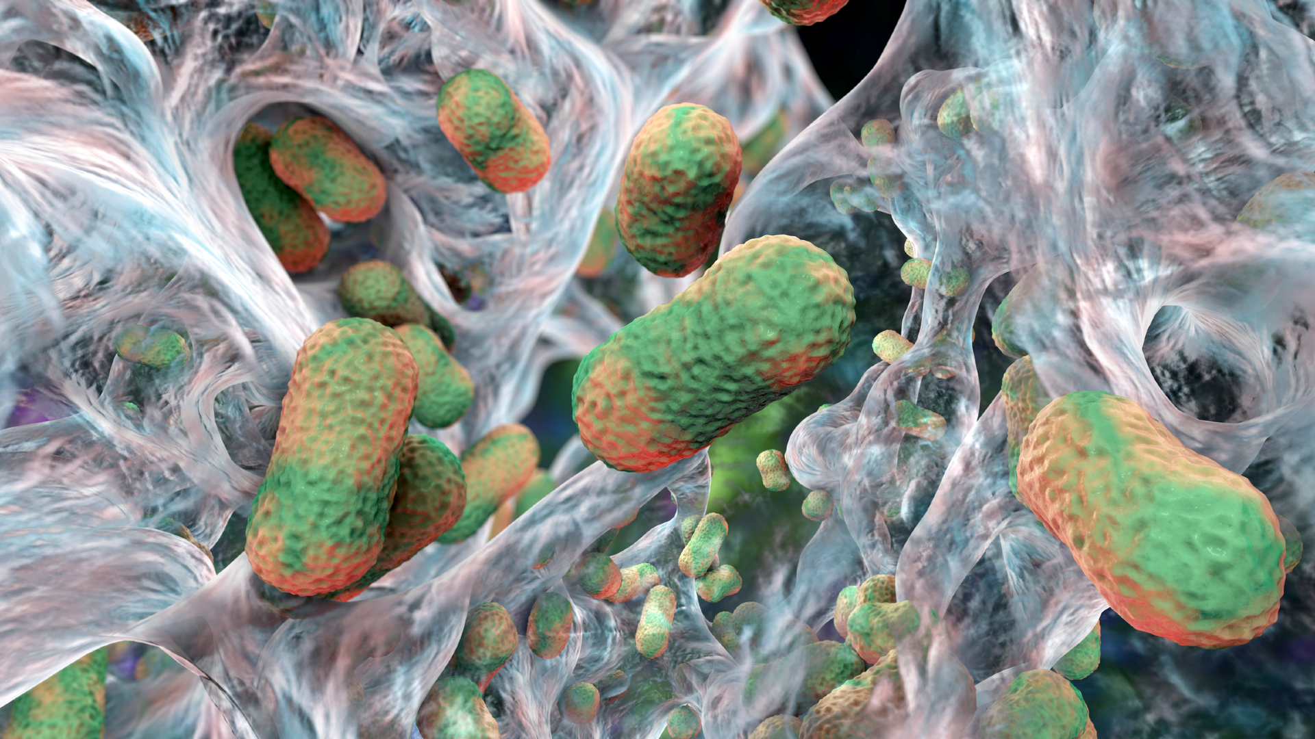 A 3D illustartion of green and orange cylindrical-shaped bacteria surrounded by webs of blue and white filaments