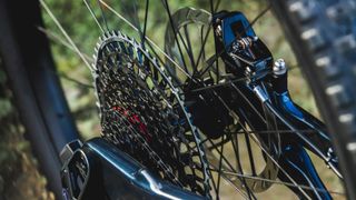 YT Jeffsy Core 5 now comes with SRAM's T-Type Transmission