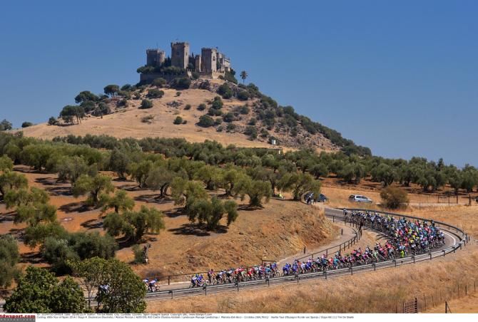 The peloton race through stage 4 of the Vuelta from Mairena Del Alcor to Cordoba